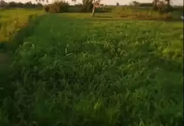 Farm For sale