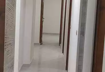 Apartments For rent - 3 rooms - floor 1