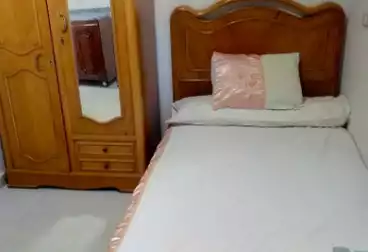 غرف مشاركة للإيجار - بالدور 0