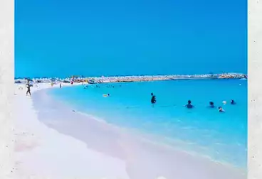 شاليهات للبيع - 2 غرف - بالدور 2