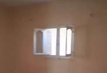 Apartments For rent - 3 rooms - floor 5