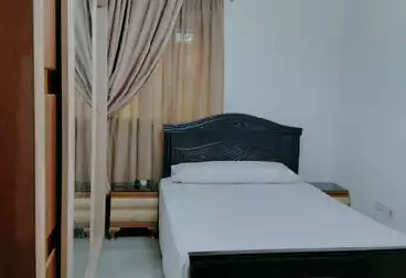 Serviced Apartments For rent - 3 rooms - floor 5