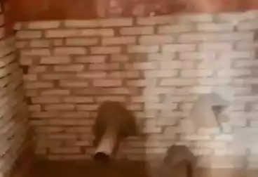 undefined undefined - 2 rooms - floor 1