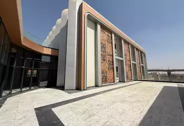 عقارات للإيجار - 12 غرف - بالدور 2
