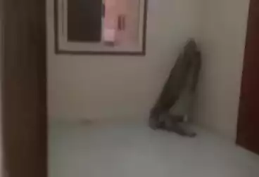Apartments For rent - 3 rooms - floor 2