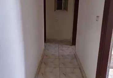 شقق للإيجار - 3 غرف - بالدور 11