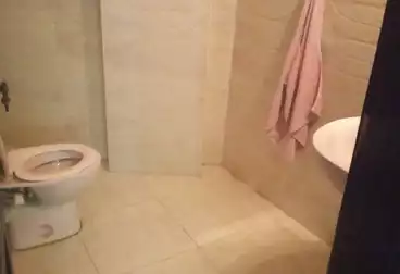 شقق للإيجار - 3 غرف - بالدور 10