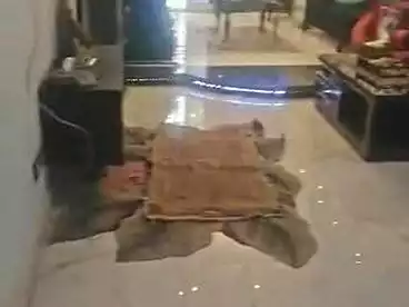 Apartments For sale - 3 rooms - floor 10
