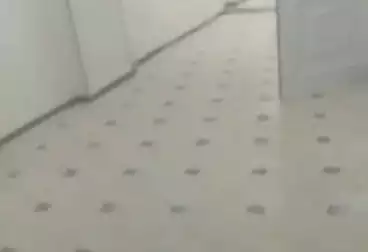 Apartments For rent - 3 rooms - floor 8