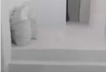 Shops For rent - floor 0