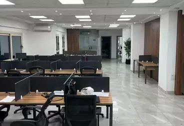 Corporate Branch For rent - 5 rooms - floor 2