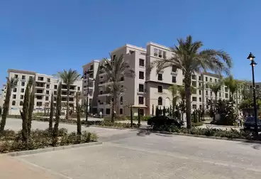 Properties For rent - 3 rooms - floor 1