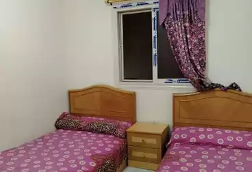 عقارات للإيجار - 3 غرف - بالدور 2