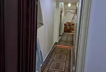 undefined undefined - 3 rooms - floor 1