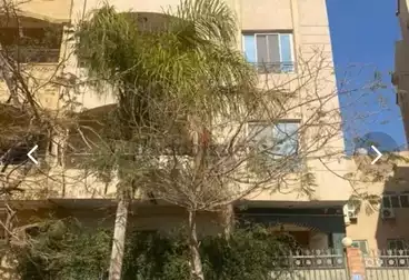 شقق للإيجار
