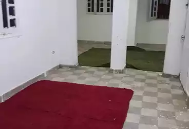 عقارات للإيجار - 2 غرف - بالدور 1