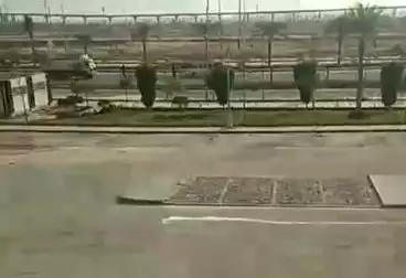 شقق للإيجار - 3 غرف - بالدور 1