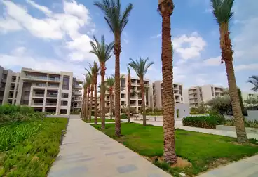 عقارات للبيع - 2 غرف - بالدور 0