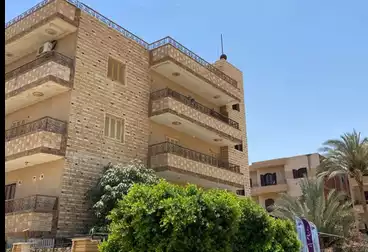 منزل / بيت للإيجار - 3 غرف
