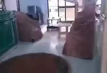 Furnished Apartment For rent - 2 rooms - floor 2