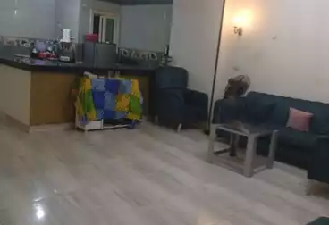 Apartments For rent - 2 rooms - floor 3