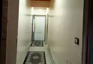 Apartments For rent - 3 rooms - floor 1