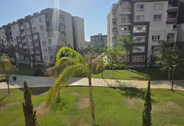 عقارات للإيجار - 4 غرف - بالدور 2