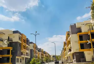 شقق للبيع - 2 غرف - بالدور 0