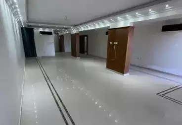 دوبلكس للبيع - 4 غرف - بالدور 10