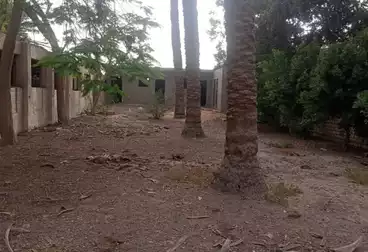 أرض زراعية للبيع