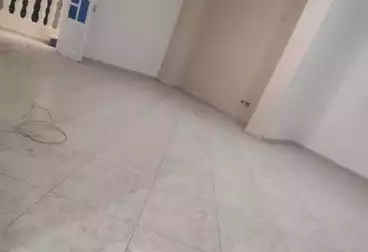 عقارات للإيجار - 3 غرف - بالدور 6