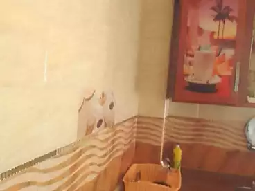Apartments For sale - 2 rooms - floor 5