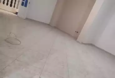عقارات للإيجار - 3 غرف - بالدور 6