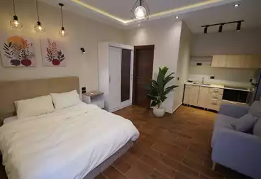 Properties For rent - 1 rooms - floor 1
