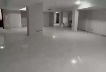 Properties For rent - 10 rooms - floor 2