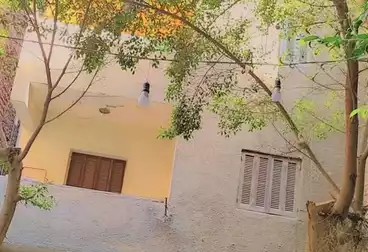 مباني للبيع - 12 غرف