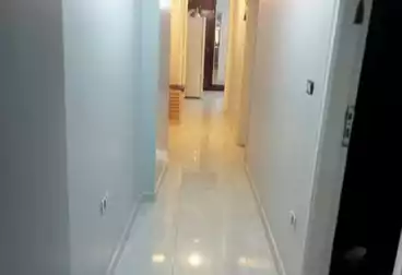 undefined undefined - 3 rooms - floor 1