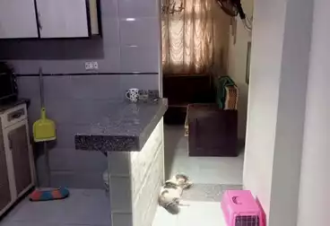 undefined undefined - 3 rooms - floor 1