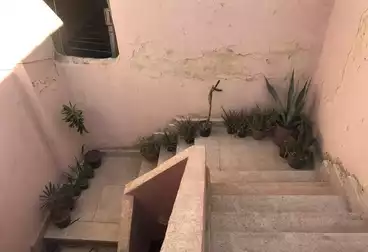 Apartments For rent - 2 rooms - floor 7