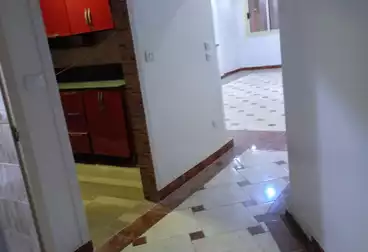 undefined undefined - 3 rooms - floor 3