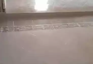 عقارات للإيجار - 2 غرف - بالدور 4