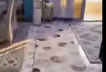 Apartments For sale - 3 rooms - floor 13