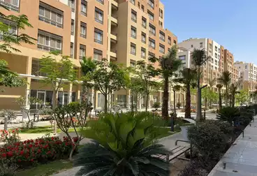 عقارات للبيع - 3 غرف - بالدور 2