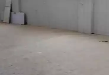 Factory For rent