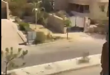 عقارات للبيع - 4 غرف - بالدور 1