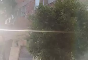 منزل / بيت للبيع - 2 غرف