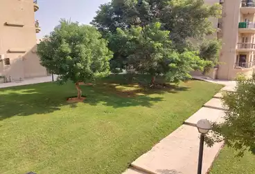 Properties For rent - 3 rooms - floor 4