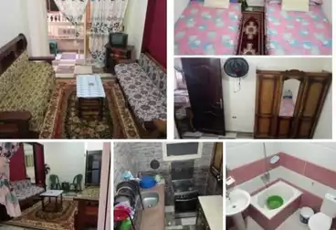 Apartments For rent - 1 rooms - floor 1