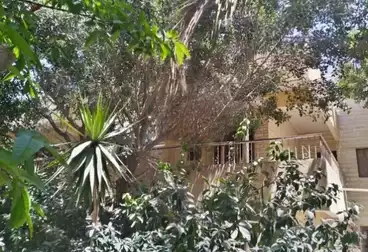 Villas For sale - 8 rooms