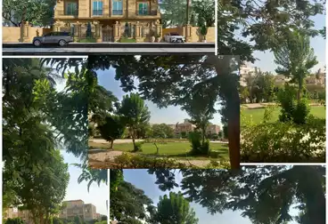 عقارات للبيع - 3 غرف - بالدور 1